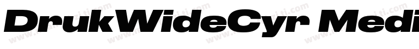 DrukWideCyr MediumItalic字体转换